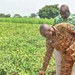 Ismaël Sombié